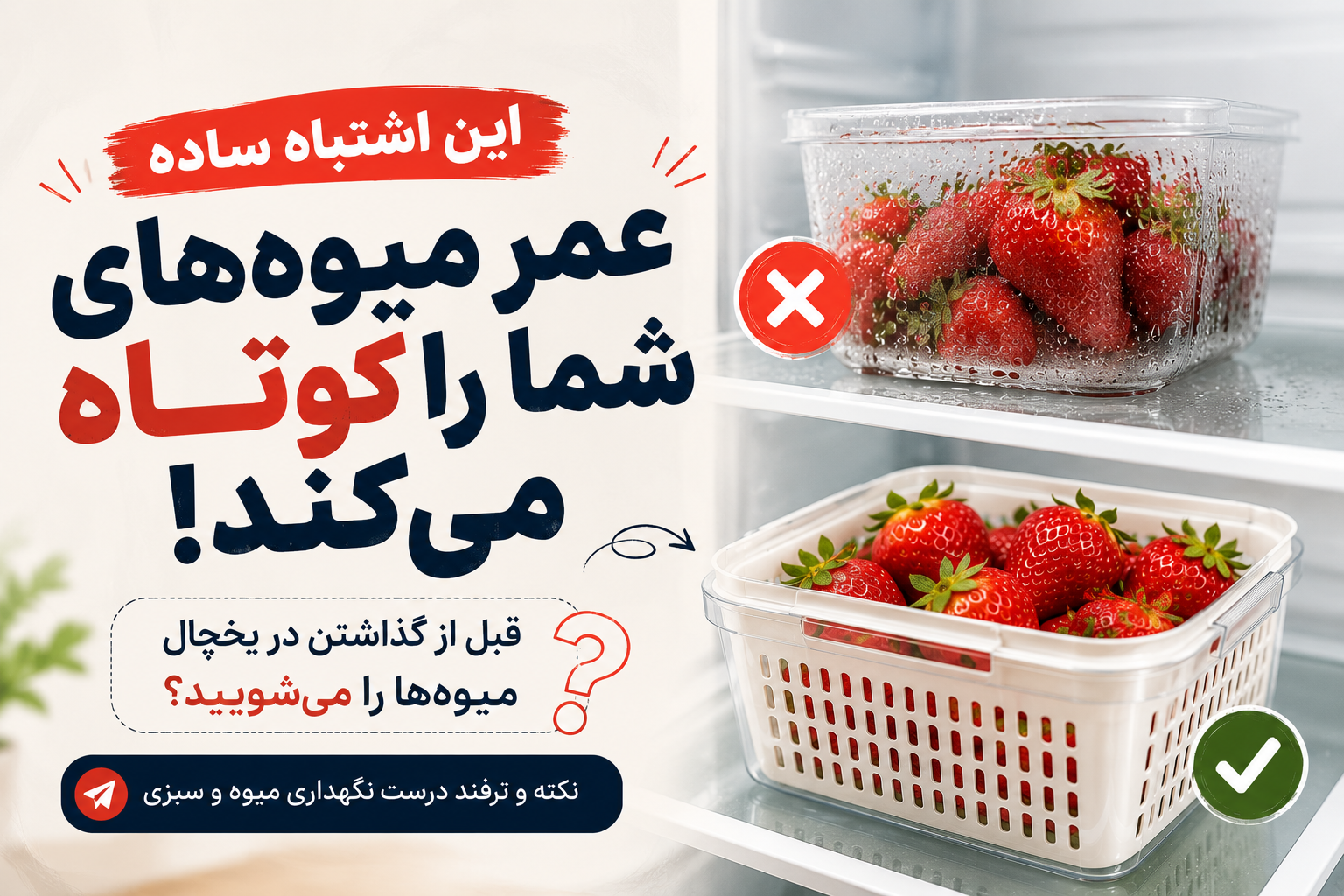 آیا باید میوه‌ها را قبل از گذاشتن در یخچال بشوییم؟